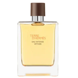 Terre D´Hermès Eau Intense Vetiver Vaporisateur 100ml